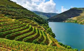 Wines of Portugal - 12th June - 7pm